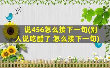 说456怎么接下一句(别人说吃醋了 怎么接下一句)